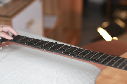 AUPHY SCT-86 Guitar fretboard light